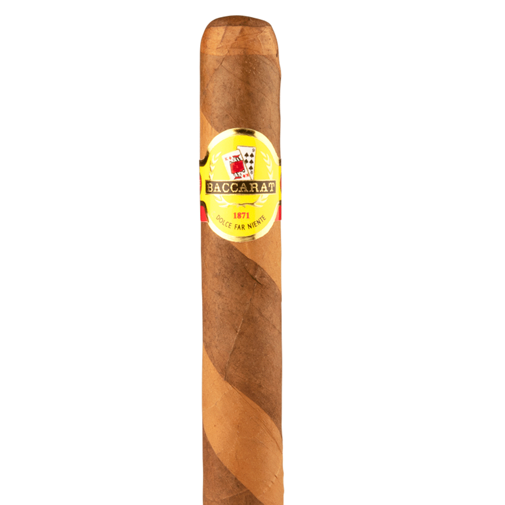 Baccarat Barber Pole Toro Connecticut Broadleaf Box of 25