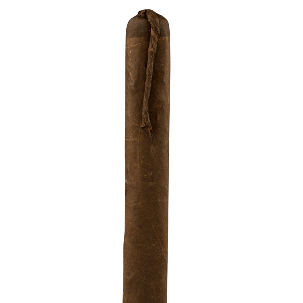 601 La Bomba Robusto Connecticut Broadleaf Box of 10