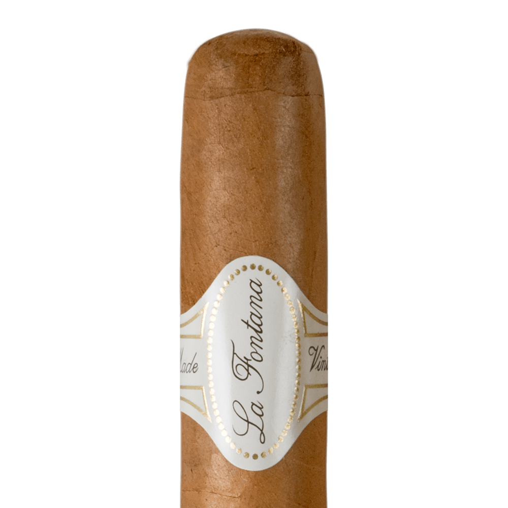 Michelangelo, , cigars