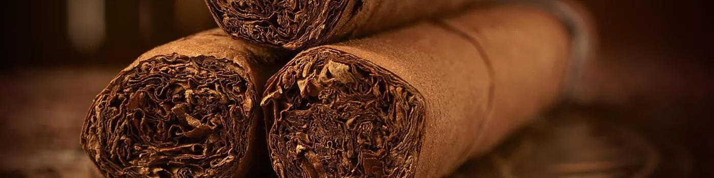 Cigars Caoba Fuma Esplendido