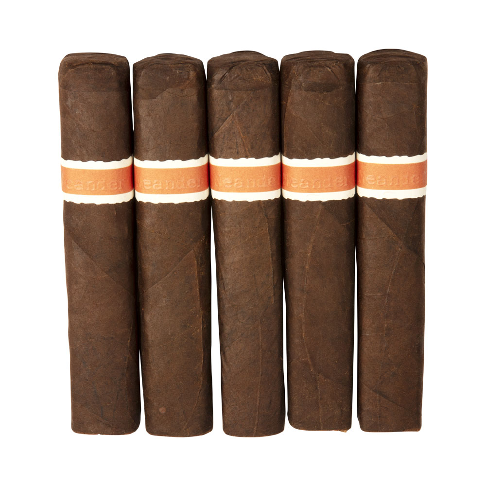 RoMa Craft Neanderthal LH