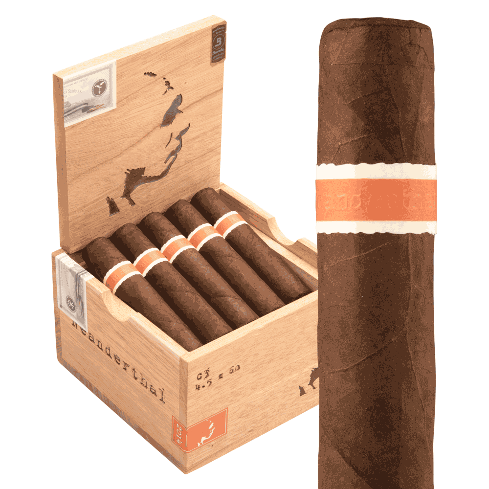 RoMa Craft Neanderthal C3