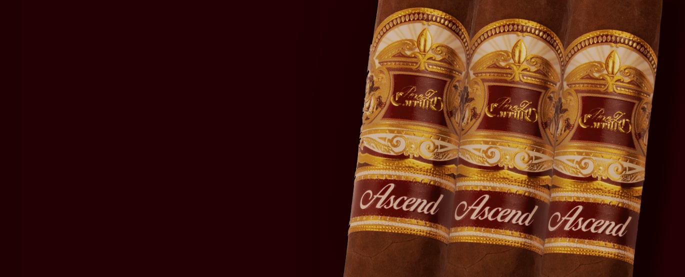 E.P. Carrillo Ascend