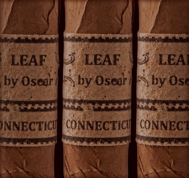 Leaf by Oscar Maduro