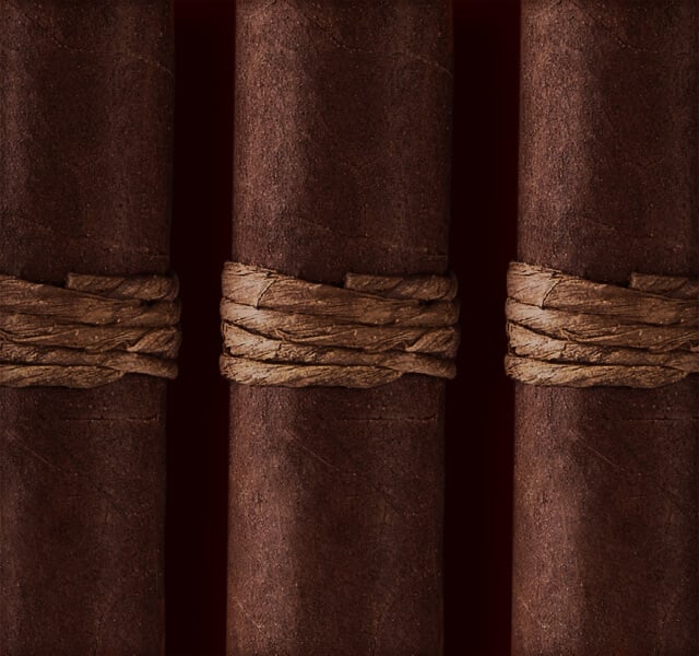 CAO Amazon Basin