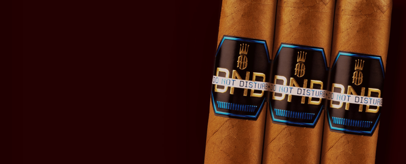 Alec Bradley Do Not Disturb