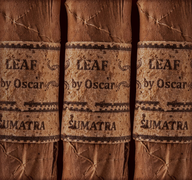 Leaf by Oscar Sumatra
