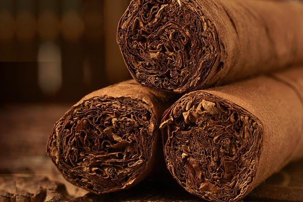Arturo Fuente Anejo