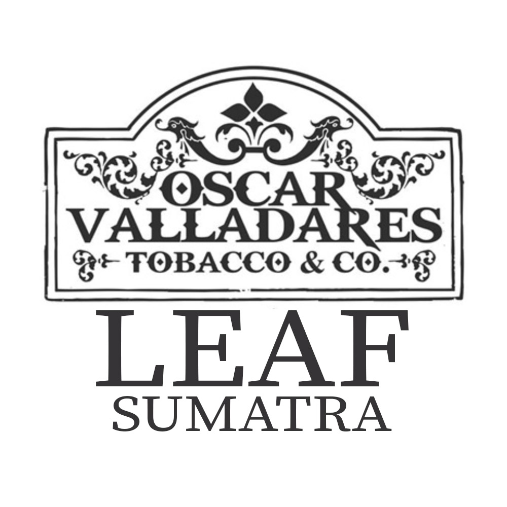 Leaf by Oscar Sumatra