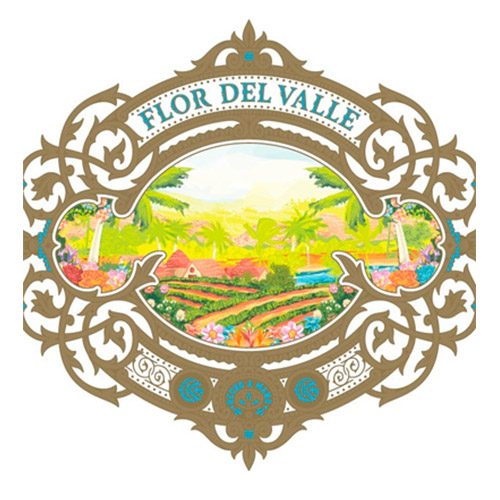 Warped Flor del Valle