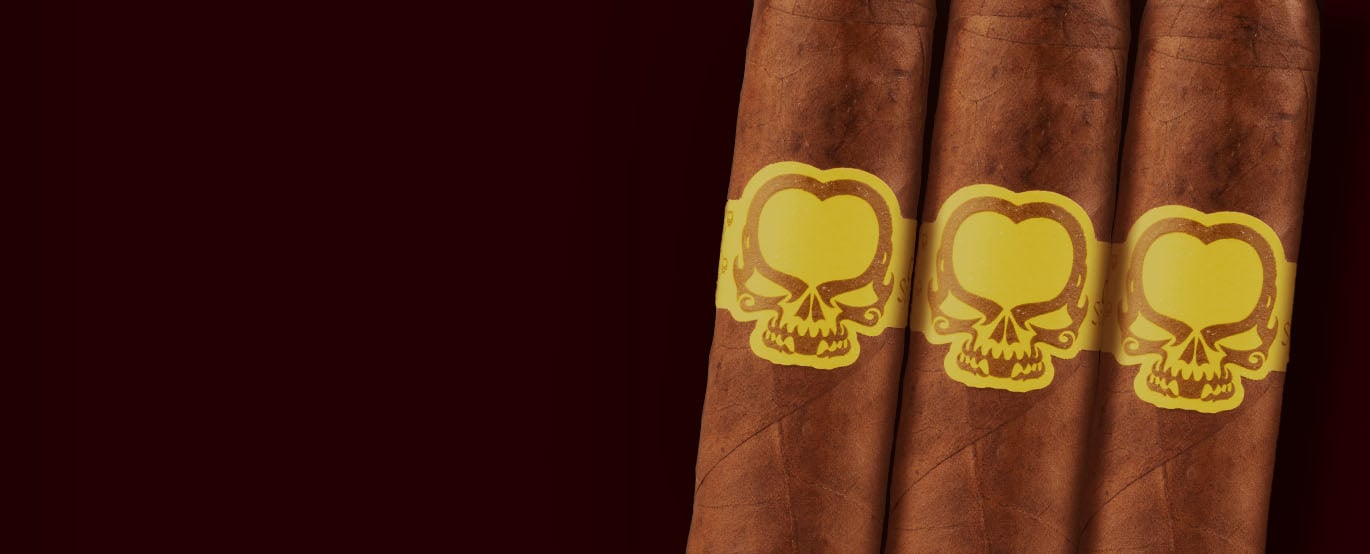 Asylum 13 Split Personality